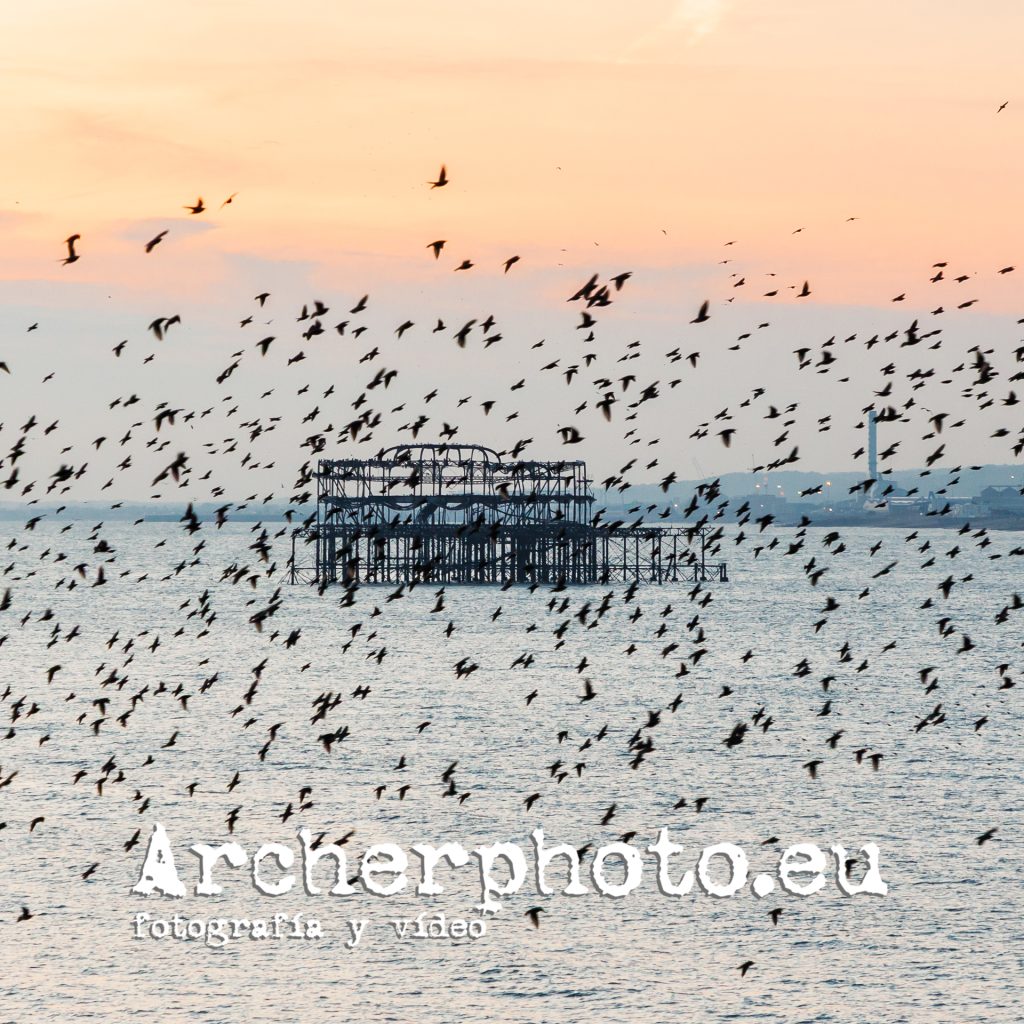Postcard from Brighton, February 2025 (1) Pier with Starlings by Sergi Albir, Archerphoto