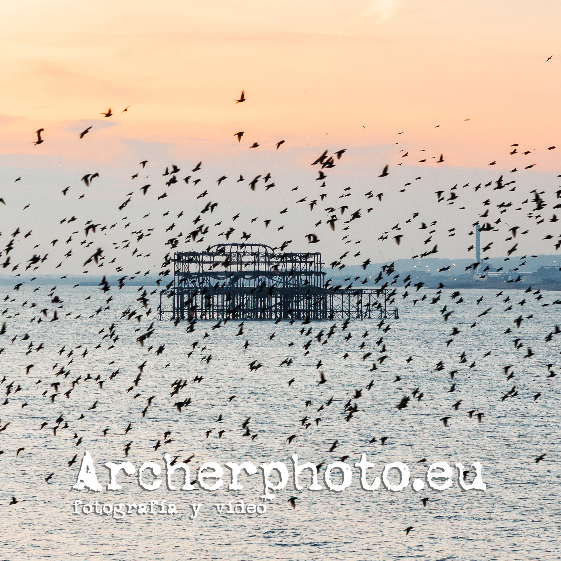 Postcard from Brighton, February 2025 (1) Pier with Starlings