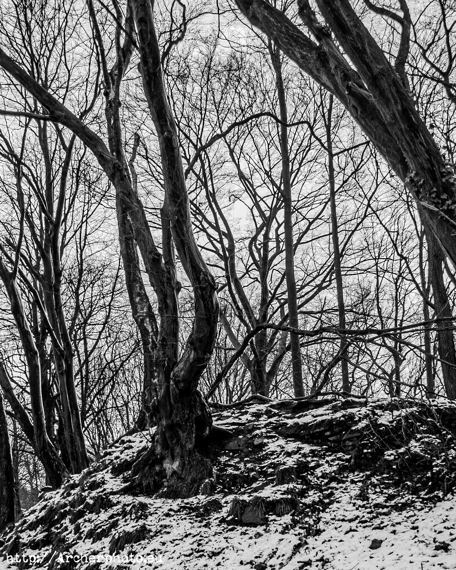 Hohensyburg, 2008. Winter in Germany.